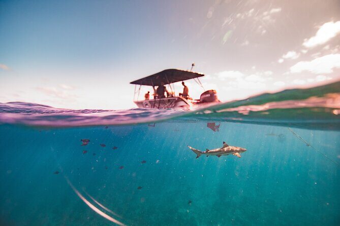Full Day Eco Snorkeling & Traditional BBQ Lunch on a Motu - Cruising Between Stops: The Not-So-Obvious Value of Boat Time