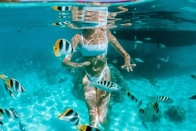 Full Day Tour : Moorea Snorkeling & Sunset Cruise on a Catamaran named Taboo - Taboo Catamaran: the small-group setup that changes the whole day
