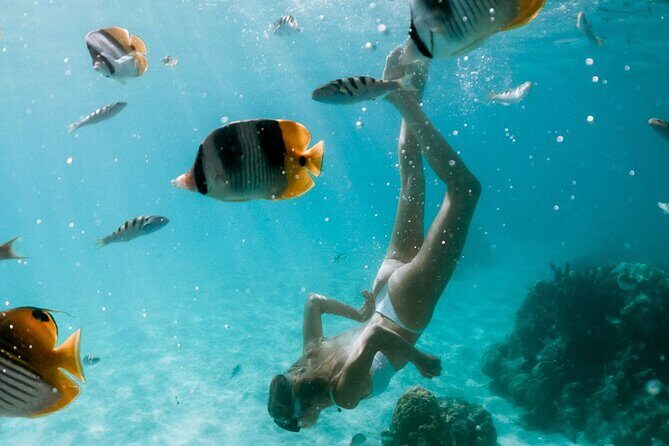 Full Day Tour : Moorea Snorkeling & Sunset Cruise on a Catamaran named Taboo - Stop by stop: Voil’a Moorea, Cook’s Bay, and the Tiahura snorkeling feel
