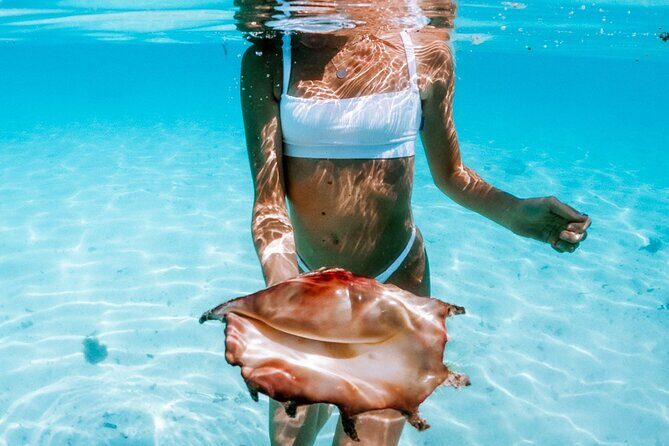 Full Day Tour : Moorea Snorkeling & Sunset Cruise on a Catamaran named Taboo - What it’s like in the water: black tips, sting rays, turtles, and timing