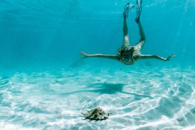 Full Day Tour : Moorea Snorkeling & Sunset Cruise on a Catamaran named Taboo - Price and value: what $261.01 buys you (and what to check before paying)