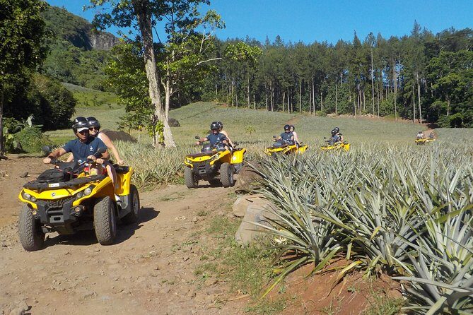 Grand Combo 3H00 of Jetski + 2H30 of Quad - Quad Route: Pineapple, Viewpoints, and Off-Road Roads