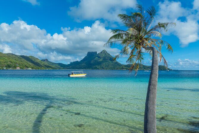 Half a day to discover Bora Bora with O-sea - Key Things I Think You’ll Care About