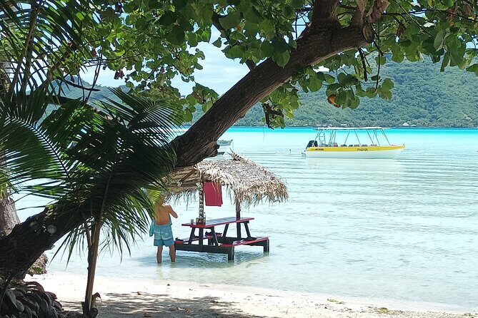 Half a day to discover Bora Bora with O-sea - Outer-slope lagoon views and the reef-shark moment