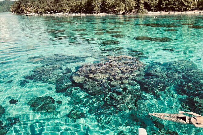Half day lagoon safari tour in Bora Bora- Shared tour - A Half-Day Bora Bora Lagoon Safari That Fits Real Schedules