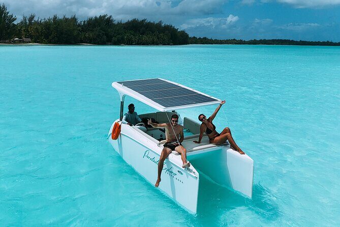 Half day lagoon safari tour in Bora Bora- Shared tour - What You Can See in the Lagoon: Blacktip Reef Sharks to Manta Rays