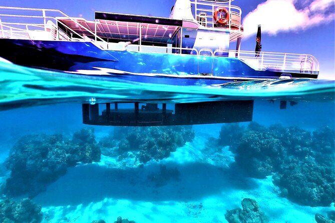Half day lagoon safari tour in Bora Bora- Shared tour - Bring What Matters: Swim Readiness, Motion Prep, and No-Restroom Planning