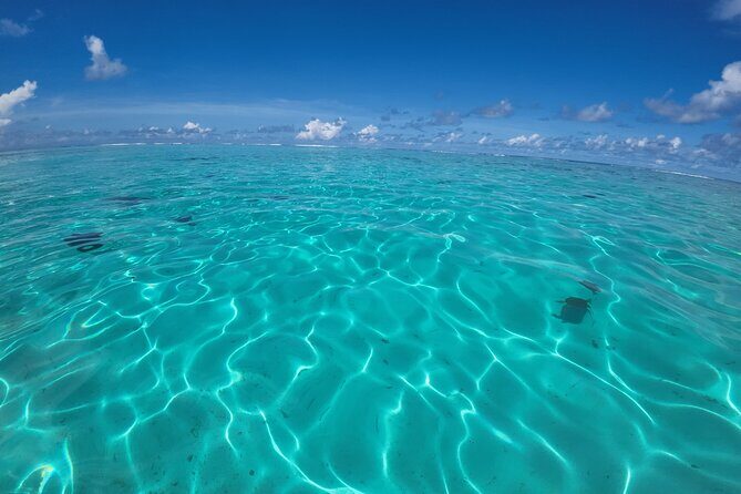 Half Day Private Boat Snorkeling Excursion Moorea - Your start at Top Jet & Top Quad Moorea (and what to bring)