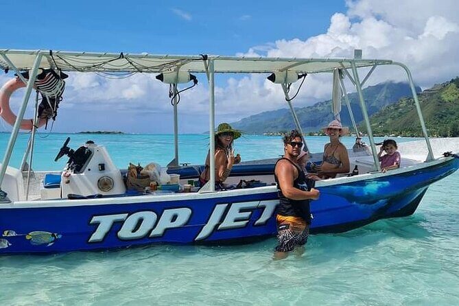 Half Day Private Boat Snorkeling Excursion Moorea - Ha’apiti dolphin watching: the odds game