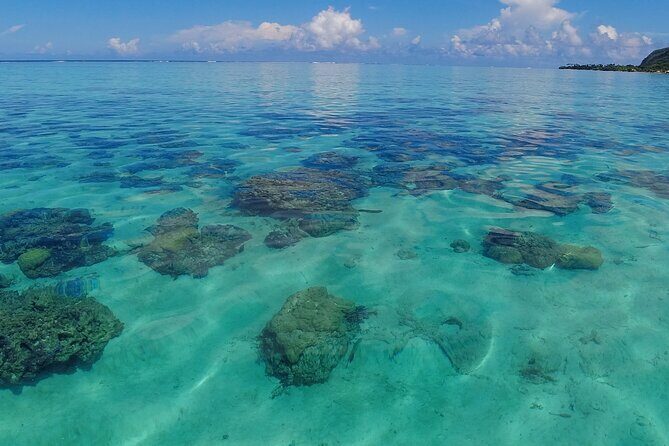 Half Day Private Boat Snorkeling Excursion Moorea - Fresh fruit break: the calm between swims