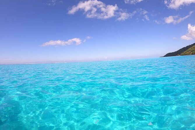 Half Day Private Boat Snorkeling Excursion Moorea - Safety rhythm and timing for a 4 to 5 hour day