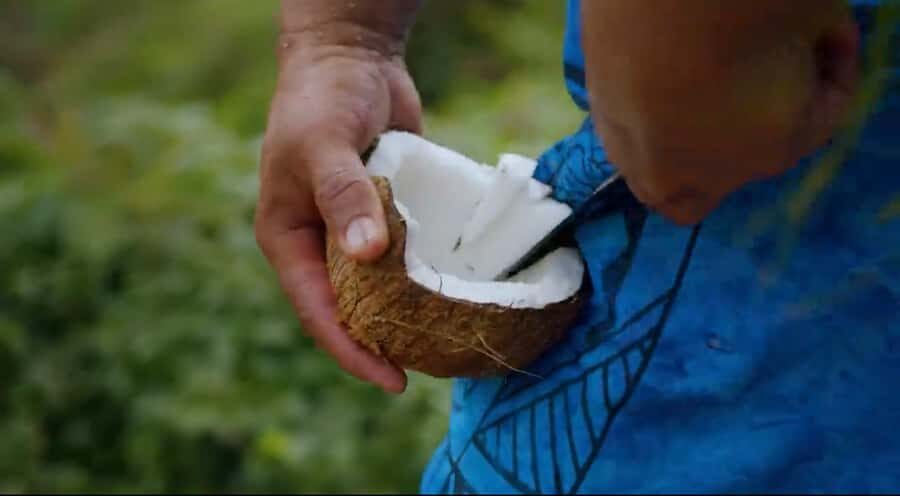 Half day Private tour of Moorea Safari Albert Pick up hotel - Key things to know before you ride
