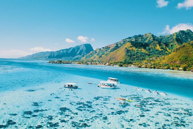 Half Day Snorkeling in Moorea - Cruising Moorea on a Small Boat in Cook’s and Opunohu Bays