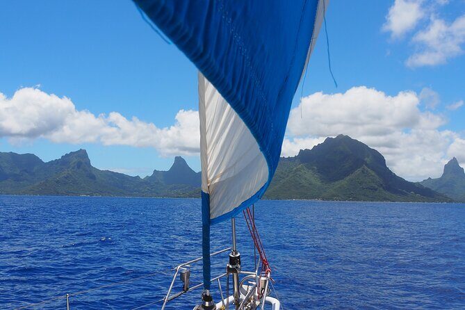 Half day whale watching - Without launch - Moorea on Mori Ora: what makes this feel different