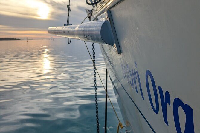 Half day whale watching - Without launch - Value and price: what $558.73 per group really buys