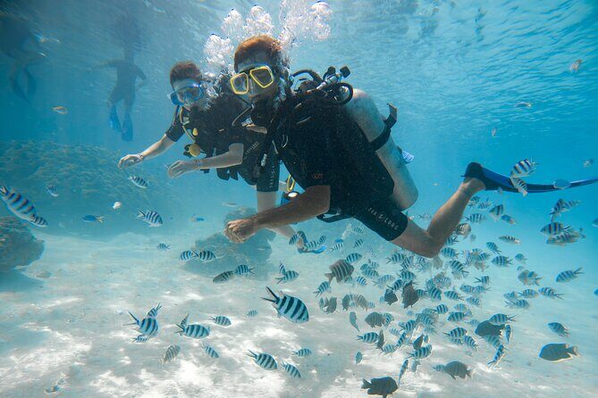 Introductory Dive in Bora Bora (afternoon) - The 2-hour flow: from check-in to your calm first floating session