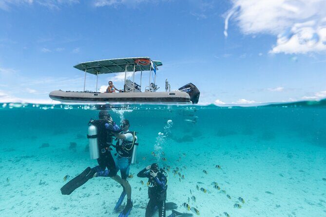 Introductory Scuba Diving Experience in Bora Bora - Why Bora Bora’s Lagoon Is a Great Scuba Starter