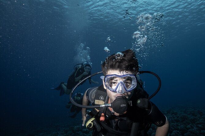 Introductory Scuba Diving Experience in Bora Bora - Key Highlights You’ll Feel Right Away