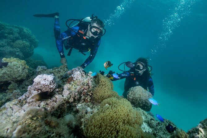 Introductory Scuba Diving Experience in Bora Bora - Stop 1 in Bora Bora: Pier-to-Lagoon Water Time