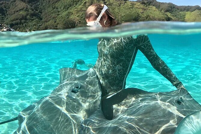 Lagoon and Marine Wildlife Tour in Moorea - Key highlights to look for on this Moorea boat tour