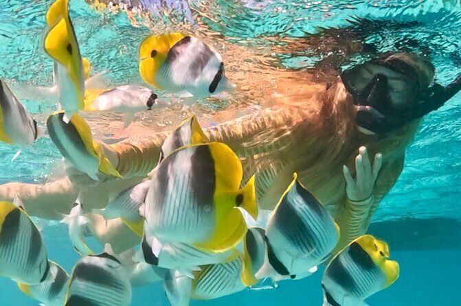 Lagoon and Marine Wildlife Tour in Moorea - Getting to Plage de Tiahura and settling into the 9:00 am rhythm