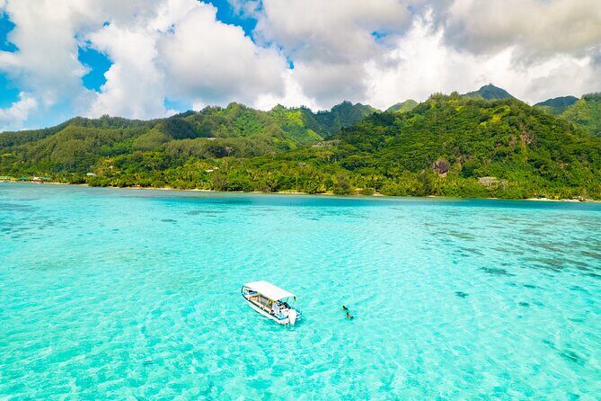 Lagoon and Marine Wildlife Tour in Moorea - Opunohu Bay views: what to focus on while you’re out on the water