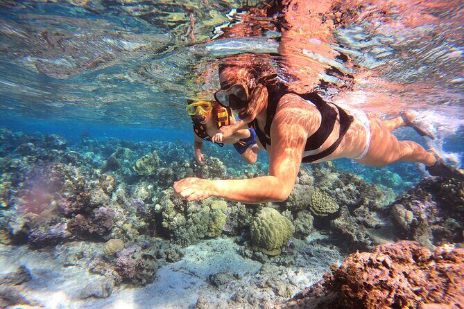 Lagoon and Marine Wildlife Tour in Moorea - Wildlife rules, protected areas, and safety that actually makes sense