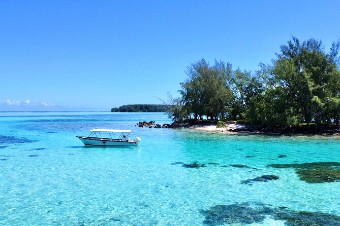 Lagoon and Marine Wildlife Tour in Moorea - Who should book this Moorea lagoon and marine wildlife tour?