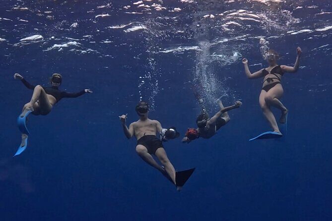 Lagoon and Marine Wildlife Tour in Moorea - The lagoon cruise portion: why the route feels different than a simple boat ride