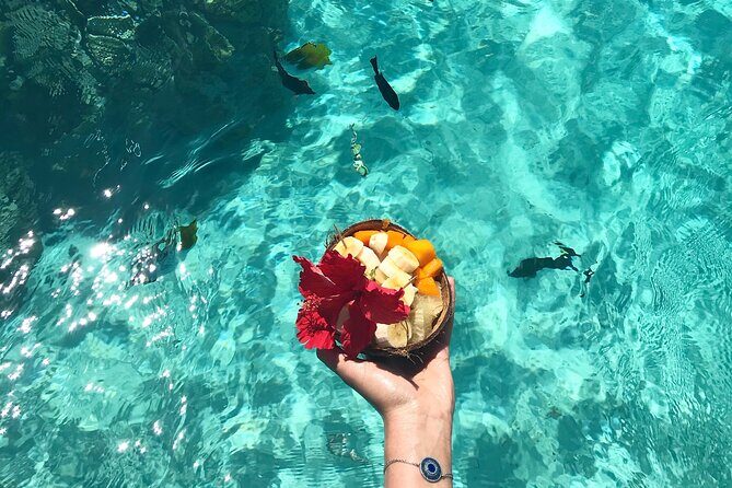 Lagoon and Wildlife Discovery on a Private Boat in Moorea - The 3-Hour Flow: From Lagoon Views to Fruit and Possible Dolphins