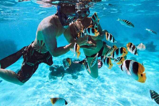 Lagoon and Wildlife Discovery on a Private Boat in Moorea - What You Get for $293.94: Value, Inclusions, and Practical Costs