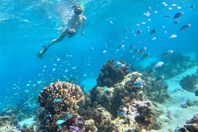 Lagoon and Wildlife Discovery on a Private Boat in Moorea - Who Should Book This Private Mermaid Tour (and Who Should Skip It)