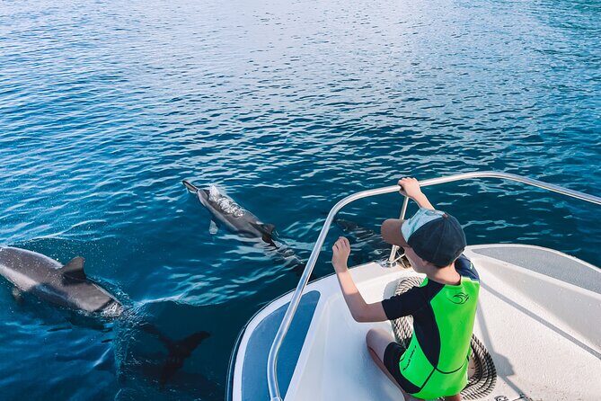 Lagoon and Wildlife Discovery on a Private Boat in Moorea - Should You Book Mermaid Private Boat Tours in Moorea?