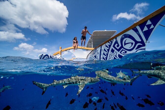 Lagoon Snorkeling Tour with Tahitian Oven Lunch in Bora Bora - Tahitian oven lunch: more than just a meal break