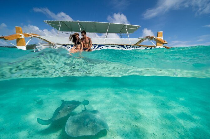 Lagoon Snorkeling Tour with Tahitian Oven Lunch in Bora Bora - Price and value: $2,239 for up to 2 people