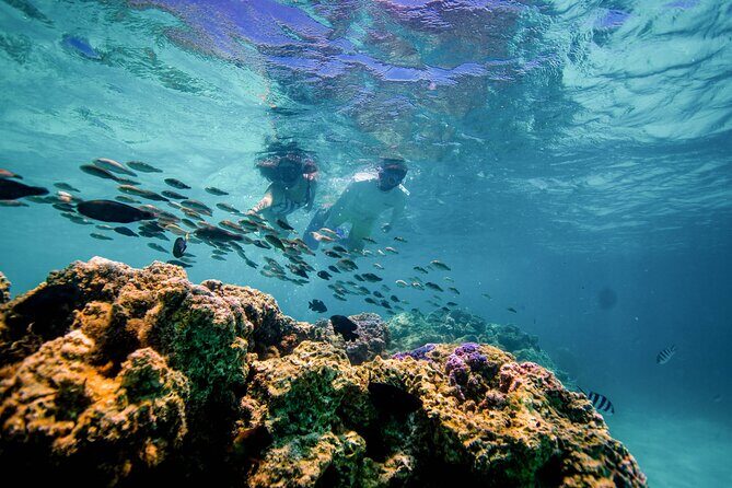 LUXURY PRIVATE Catamaran Bora Bora : Full-Day Trip - Price and value: what $2,917.48 per group buys you
