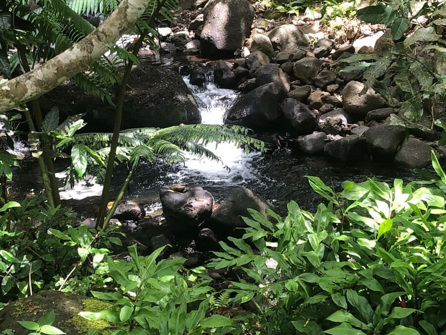 Mirimiri Tours: Visits, Surprises, Swimming and Sunset - Raiatea Through One Private Route: Culture First, Then Sun and Water