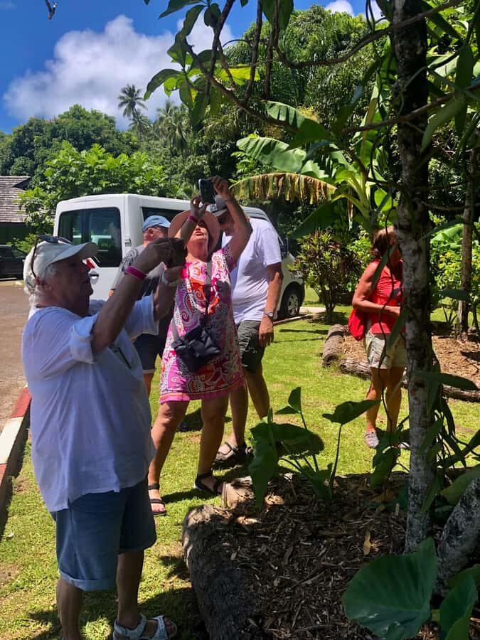 Mirimiri Tours: Visits, Surprises, Swimming and Sunset - Botanical Garden and the Faaroa River: Plants With a Purpose