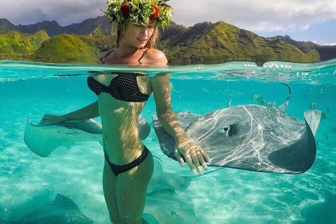 Moorea Combo 2h Jetski 3h30 Quad - Snorkeling for rays and black-tip sharks: what to expect responsibly