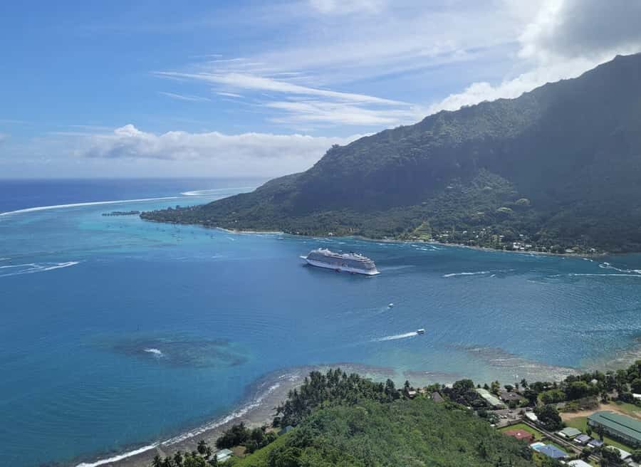 Moorea Cruise Ships 4x4, Belvedere Magic mount PRIVATE Tours - Pineapple plantation and juice distillery tastings that feel worth it