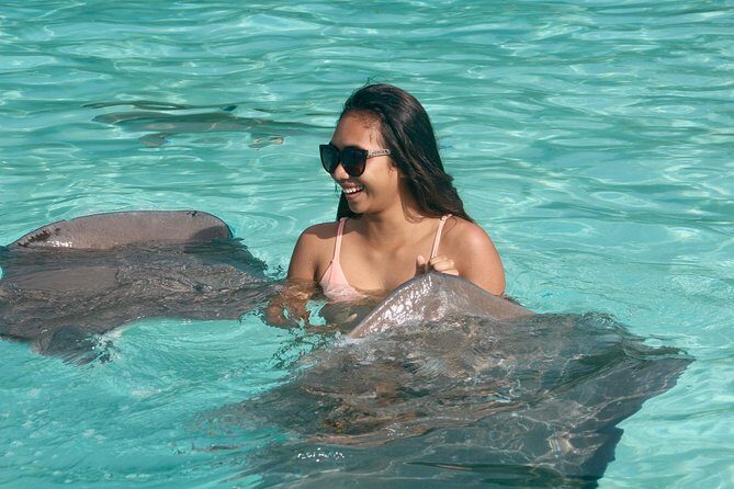 Moorea Explorer Jet Ski tour - Wildlife Odds: Dolphins, Seasonal Whales, Rays, and Sharks