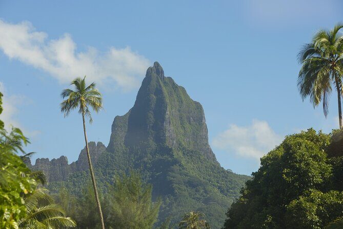 Moorea Highlights Private Tour: Natural and Cultural Attraction - Key Highlights Worth Planning For