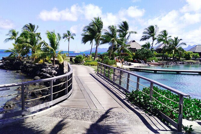 Moorea Highlights Private Tour: Natural and Cultural Attraction - Cook’s Bay and the Pineapple Route: Scenery With Context
