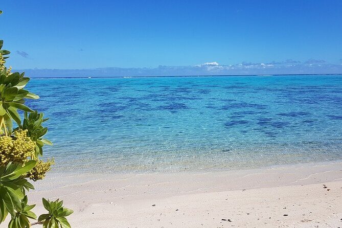 Moorea Highlights Private Tour: Natural and Cultural Attraction - Rotui Tastings, a Pearl Shop, and Moorea Tropical Garden