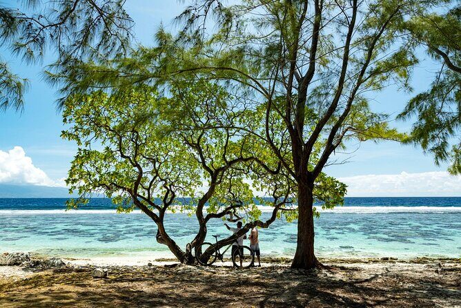 Moorea Highlights Private Tour: Natural and Cultural Attraction - Toatea Lookout to Belvedere: Two Viewpoints, Two Moods