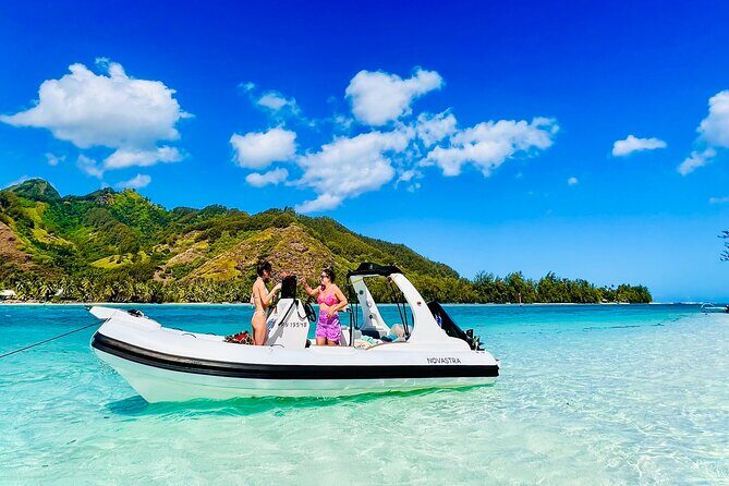 Moorea: Private 4-Hour High-End Boat Excursion - Snorkeling in Moorea’s Lagoon: Rays, Black-Tipped Sharks, Turtles