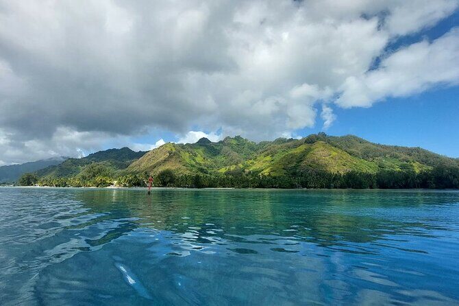 Moorea Private Full Day Tour - Maharepa and the pearl shop: local village energy without the detour