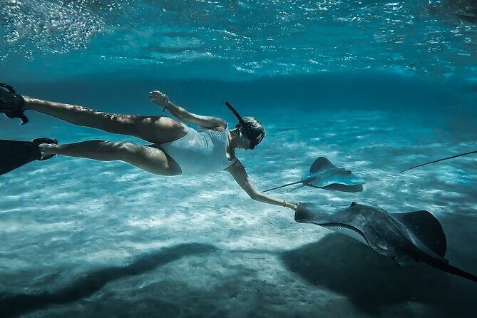 Moorea: Private Snorkeling Tour with Certify Guide - Key Highlights You’ll Actually Feel