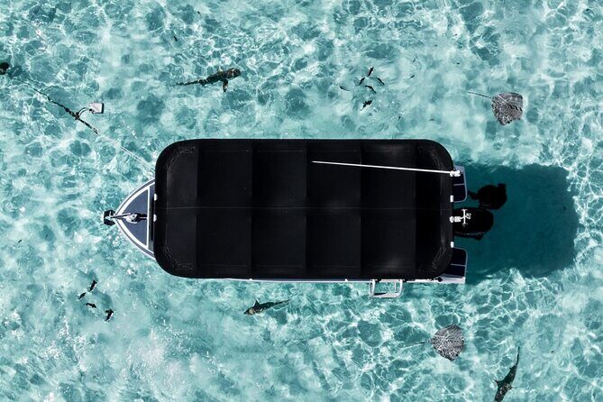 Moorea: Private Snorkeling Tour with Certify Guide - Price and Group Value: Paying for a Full Private Day