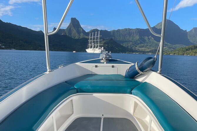 Moorea: Private Snorkeling Tour with Certify Guide - From Plage de Tiahura to a Comfortable Boat Day